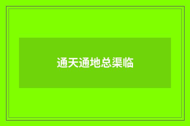 通天通地总渠临