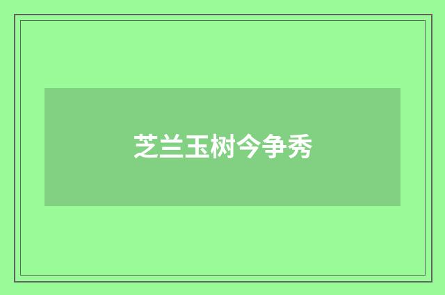 芝兰玉树今争秀