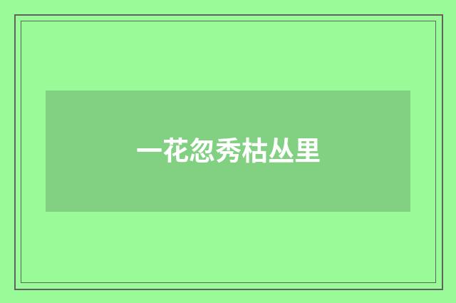 一花忽秀枯丛里
