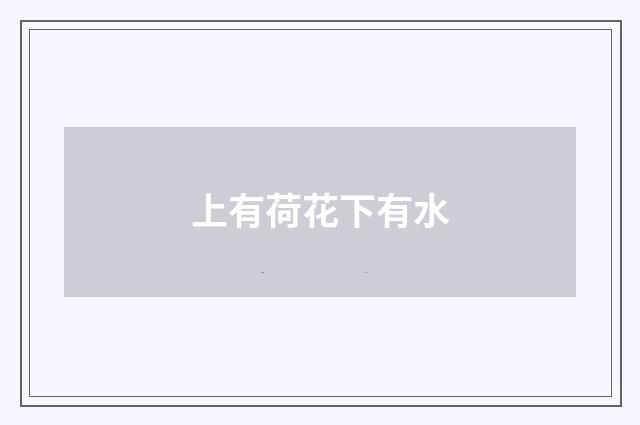 上有荷花下有水