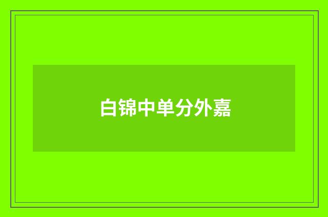 白锦中单分外嘉