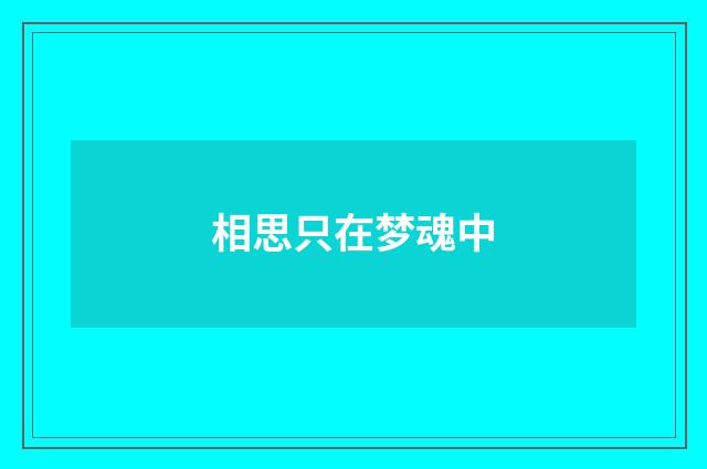 相思只在梦魂中