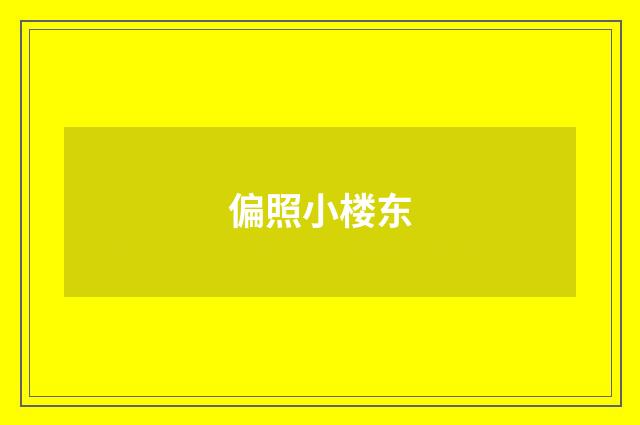 偏照小楼东