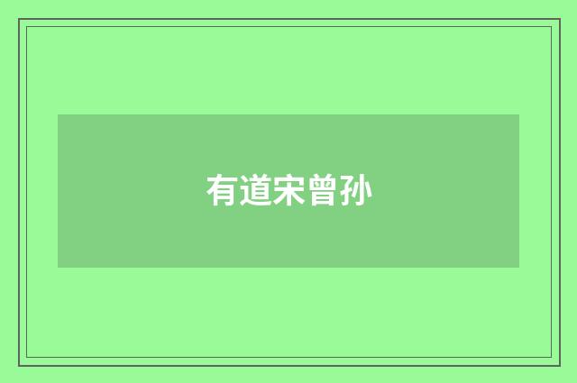 有道宋曾孙