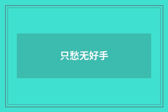 只愁无好手