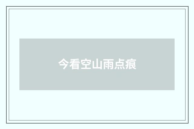 今看空山雨点痕