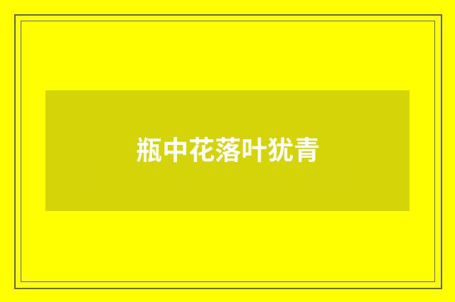 瓶中花落叶犹青