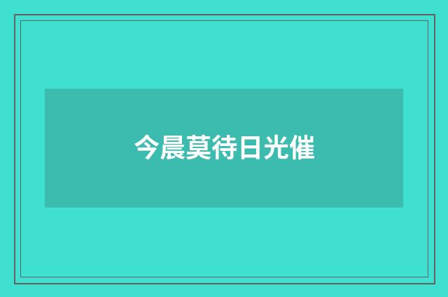 今晨莫待日光催