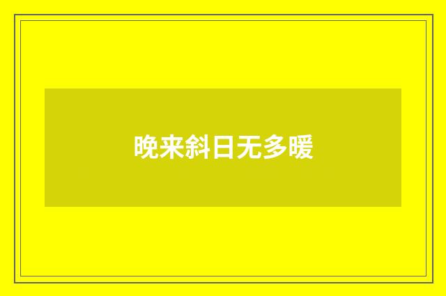 晚来斜日无多暖