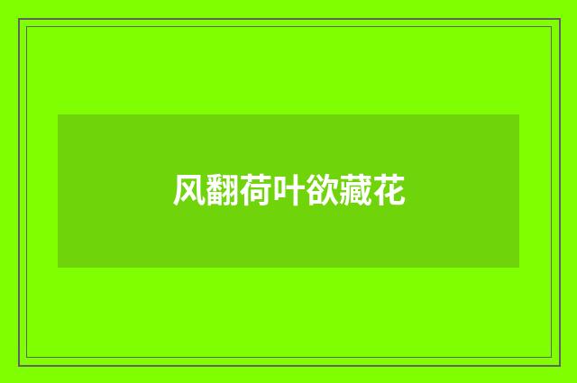 风翻荷叶欲藏花
