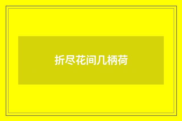 折尽花间几柄荷