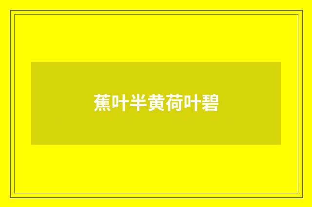 蕉叶半黄荷叶碧