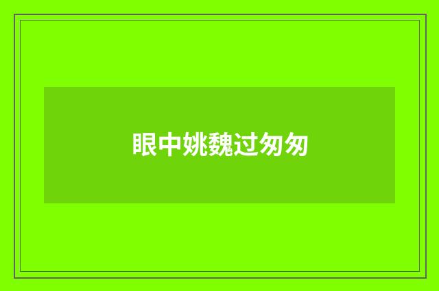 眼中姚魏过匆匆