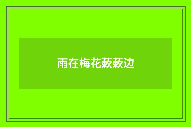 雨在梅花蔌蔌边