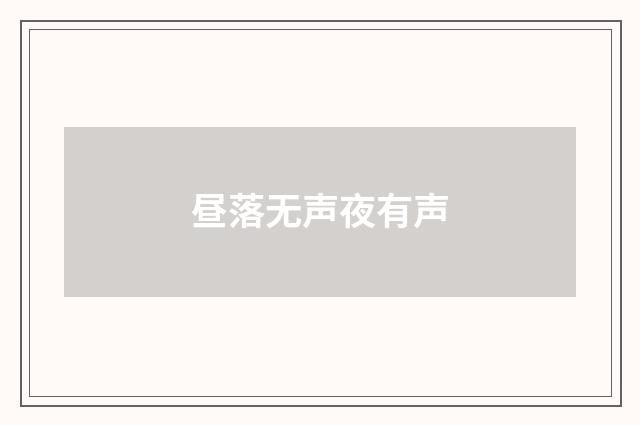 昼落无声夜有声