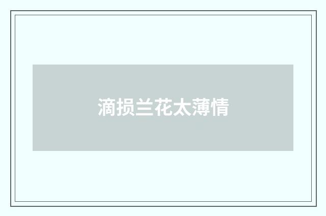 滴损兰花太薄情