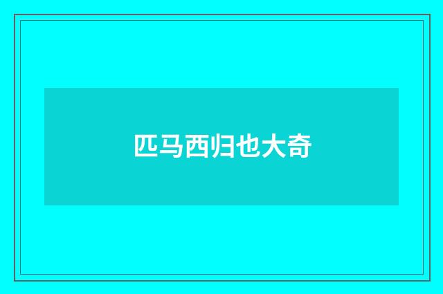 匹马西归也大奇