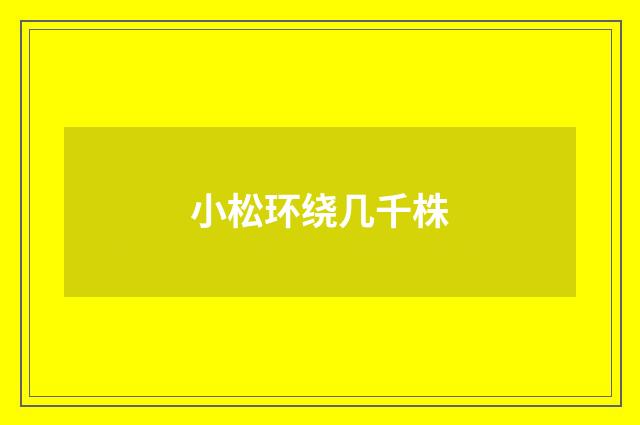 小松环绕几千株