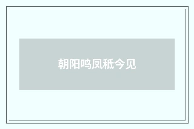 朝阳鸣凤秪今见
