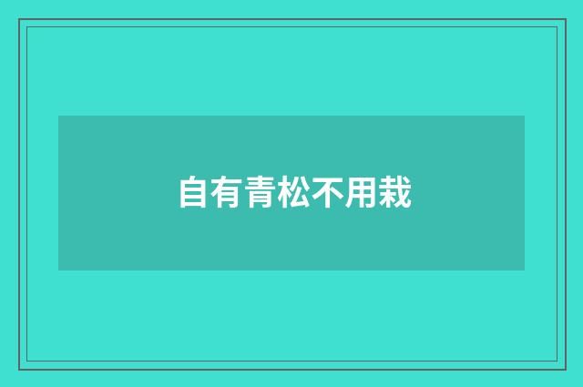 自有青松不用栽