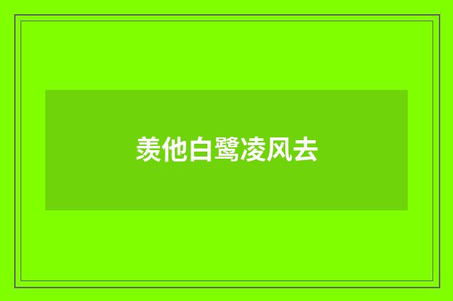 羡他白鹭凌风去