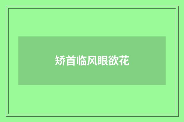 矫首临风眼欲花