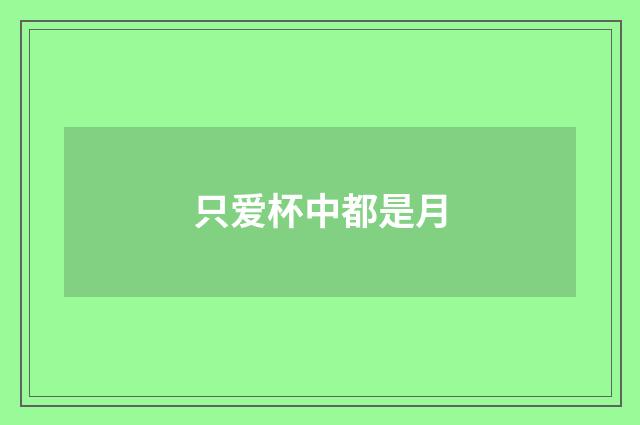 只爱杯中都是月