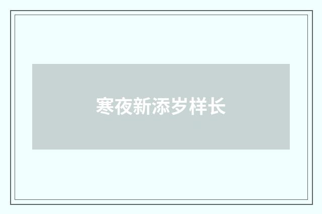 寒夜新添岁样长
