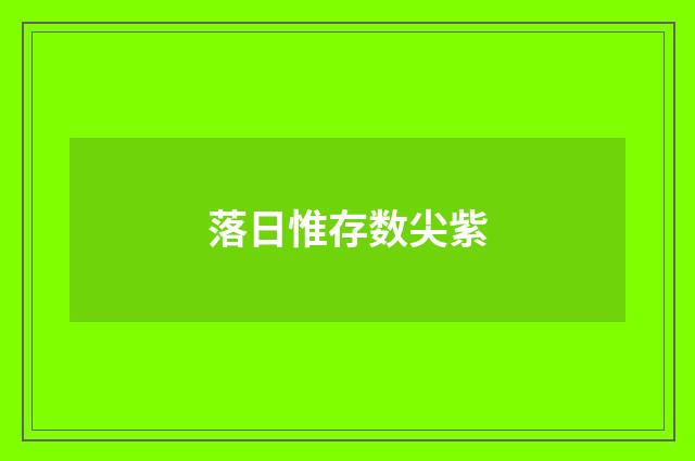 落日惟存数尖紫