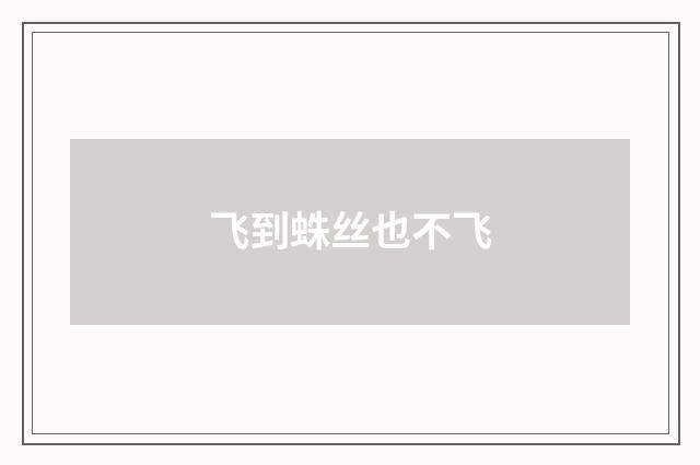 飞到蛛丝也不飞