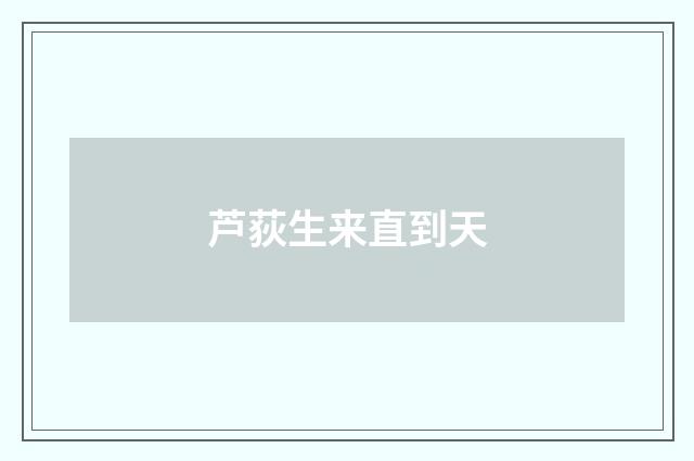 芦荻生来直到天