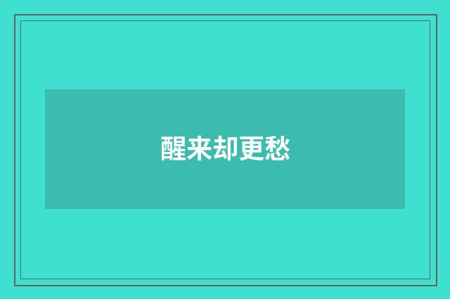 醒来却更愁
