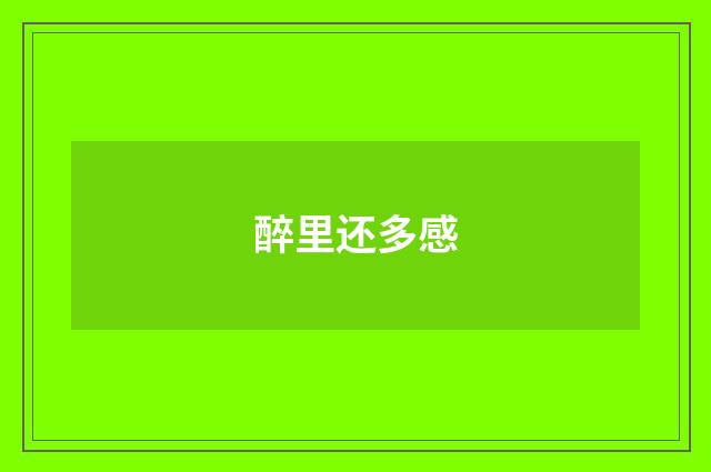 醉里还多感