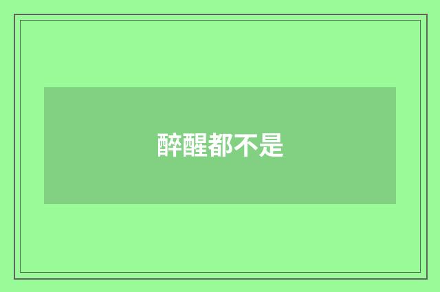 醉醒都不是