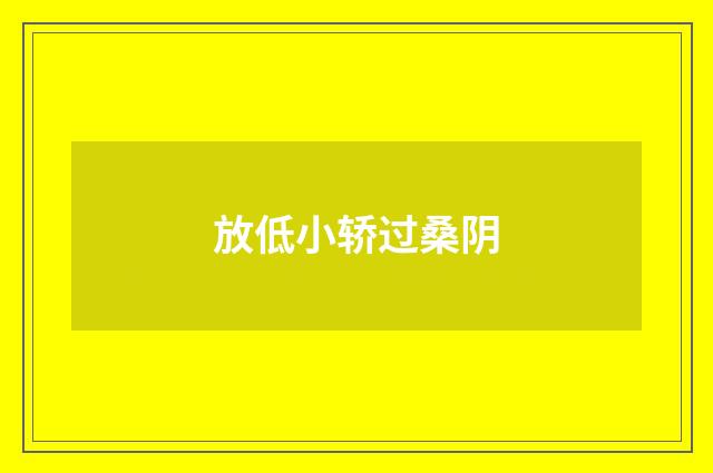 放低小轿过桑阴