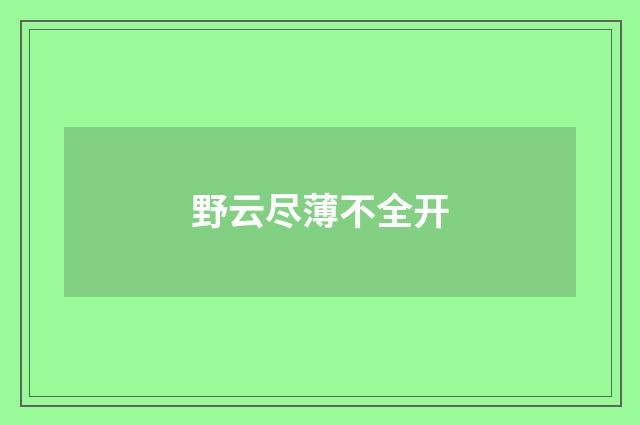 野云尽薄不全开