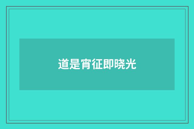道是宵征即晓光