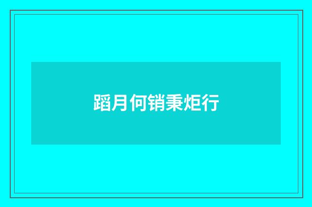蹈月何销秉炬行