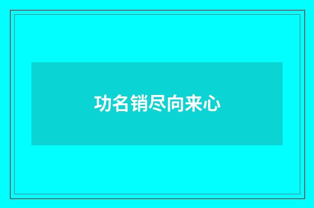 功名销尽向来心