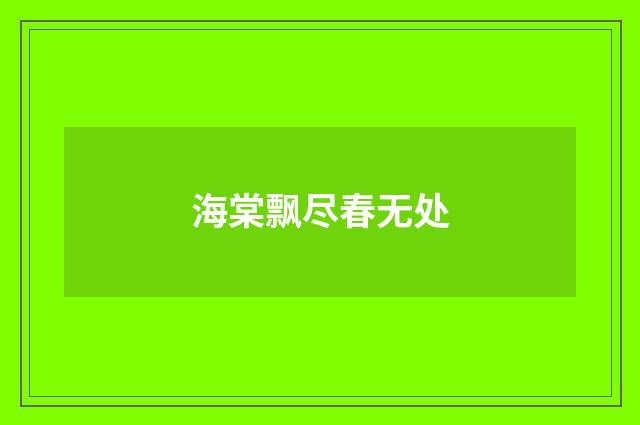 海棠飘尽春无处