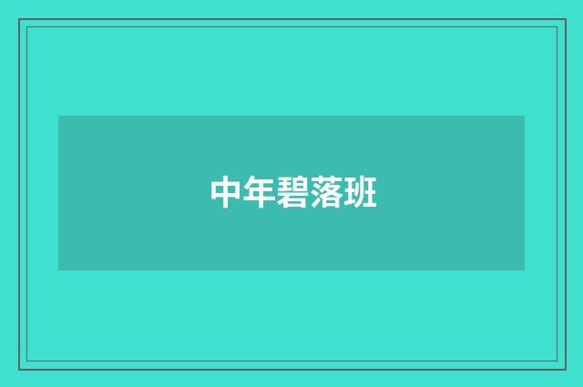 中年碧落班