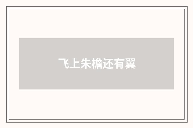 飞上朱檐还有翼