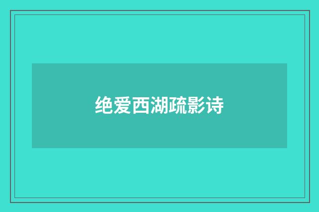绝爱西湖疏影诗