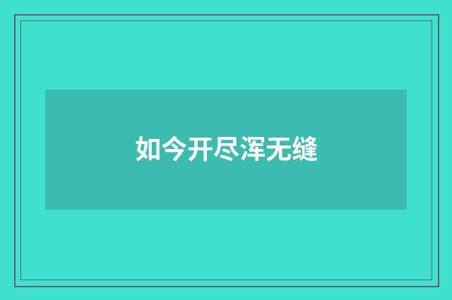 如今开尽浑无缝