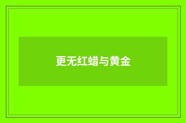 更无红蜡与黄金