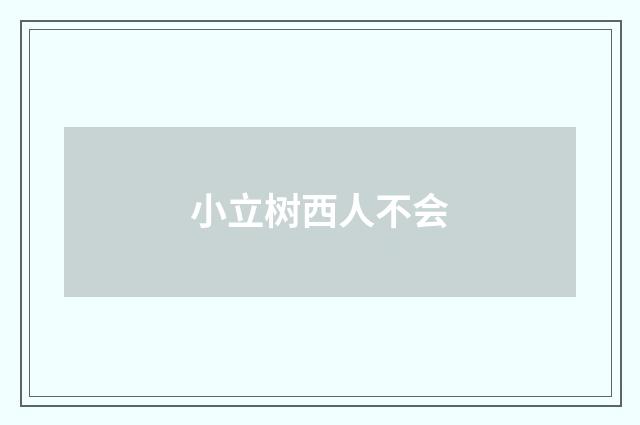 小立树西人不会