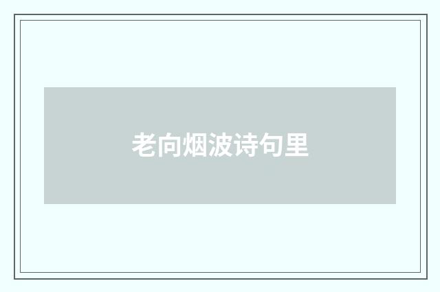 老向烟波诗句里