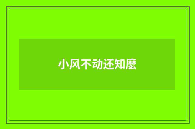 小风不动还知麽