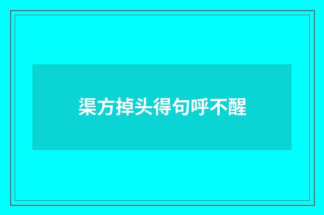 渠方掉头得句呼不醒