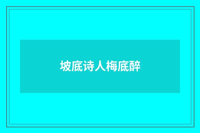 坡底诗人梅底醉